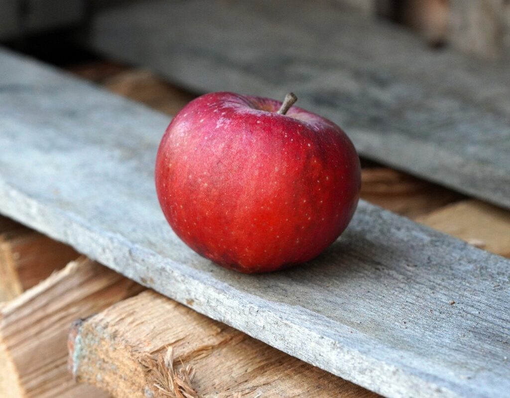 apple, fruit, ripe-7694817.jpg