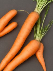 carrots, vegetable, healthy-7691117.jpg